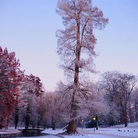 Design-appartement Im Zentrum *